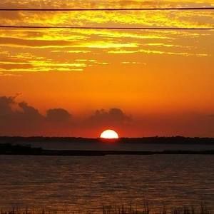 Meet your Posher, Martha